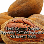 Buah Mahoni Dengan Segudang Manfaatnya untuk Kesehatan Tubuh