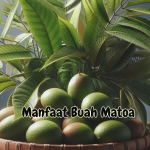 Manfaat dan kandungan Buah Matoa