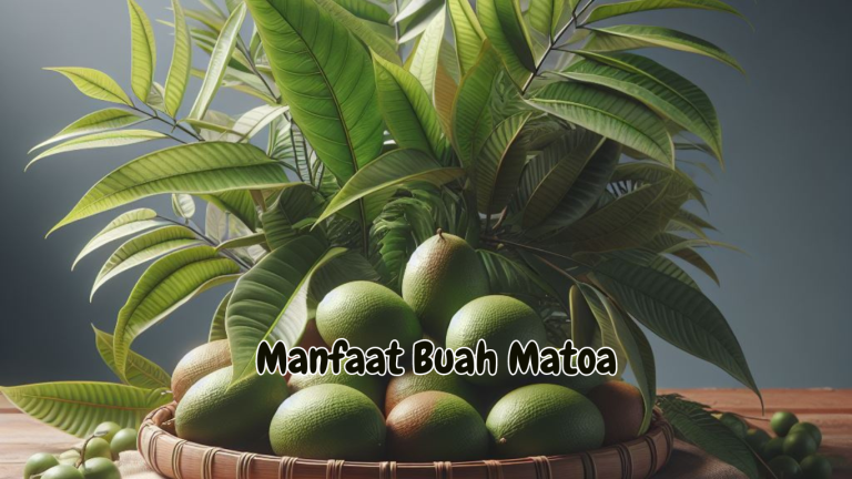 Manfaat dan kandungan Buah Matoa