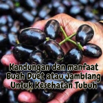 Kandungan dan manfaat Buah Duet