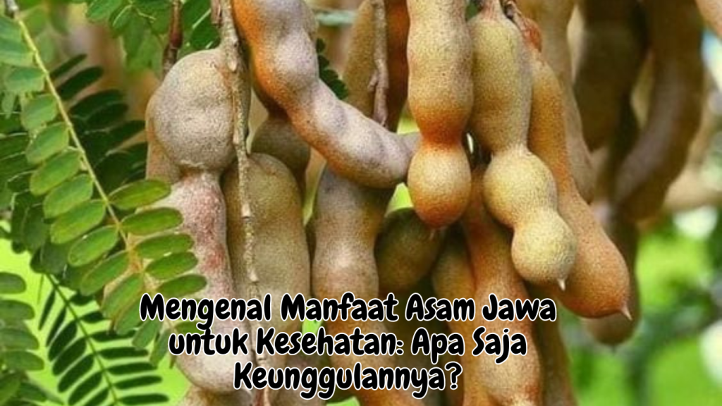 Manfaat Asam Jawa untuk Kesehatan