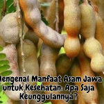 Manfaat Asam Jawa untuk Kesehatan