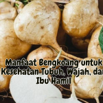 Manfaat Bengkoang untuk Kesehatan Tubuh