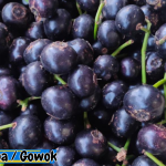 Buah Gowok