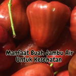 Manfaat Buah Jambu Air Untuk Kesehatan