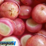Manfaat Buah Kalangkala