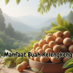 Manfaat Buah Kelengkeng