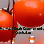 Manfaat Buah Kesemek untuk Kesehatan