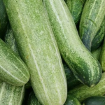 Manfaat Buah Mentimun untuk Kesehatan dan Kecantikan