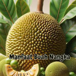 Manfaat Buah Nangka