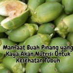 Manfaat Buah Pinang