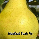 Manfaat Buah Pir