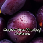 Manfaat Buah Plum bagi Kesehatan