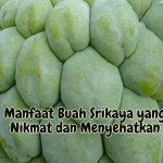 Manfaat Buah Srikaya yang Nikmat dan Menyehatkan