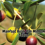 Manfaat Buah dan Minyak Zaitun