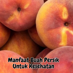 Manfaat Buah Persik Untuk Kesehatan