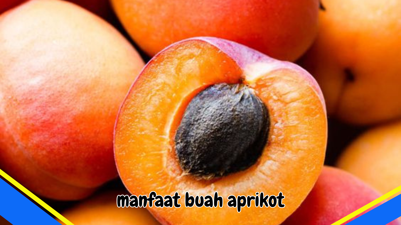 manfaat buah aprikot