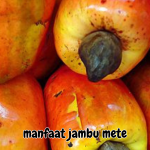manfaat jambu mete