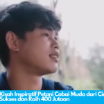 Kisah Inspiratif Petani Cabai Muda