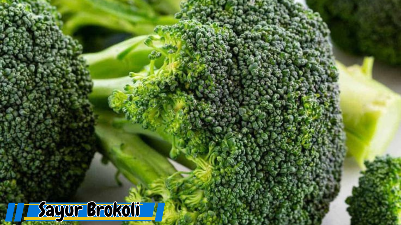 Manfaat Brokoli untuk Kesehatan