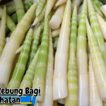 Manfaat Rebung Bagi Kesehatan