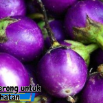 Manfaat Terong untuk Kesehatan yang Jarang Diketahui