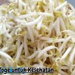 Manfaat Toge untuk Kesehatan
