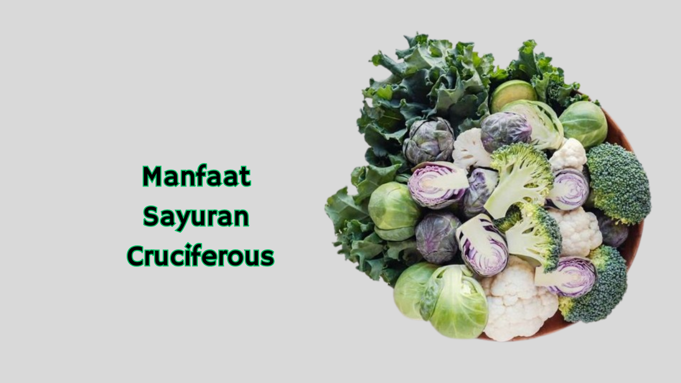 Manfaat Sayuran Cruciferous