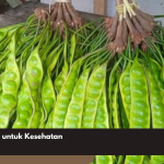 Manfaat Pete untuk Kesehatan