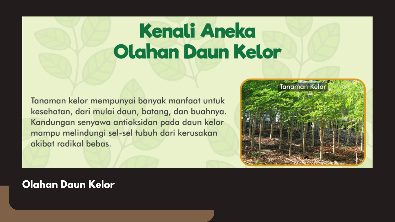 Kreativitas dalam Mengolah Daun Kelor