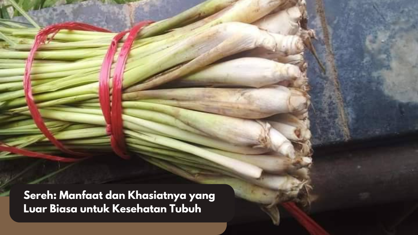 Manfaat Sereh untuk Kesehatan Tubuh