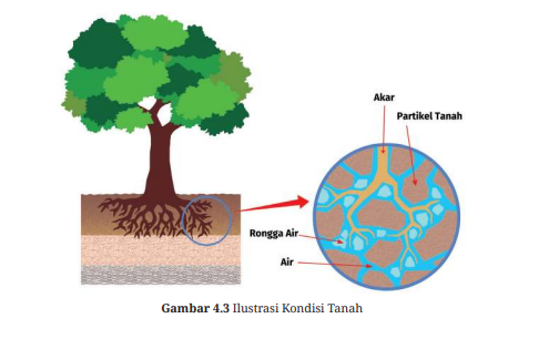 bahan organik tanah