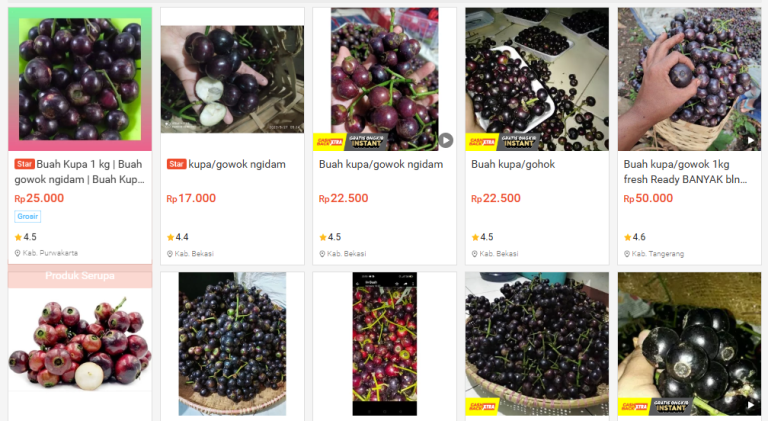 harga buah kupa di shopee