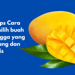 Tips Cara Memilih Buah Mangga yang Matang dan Manis