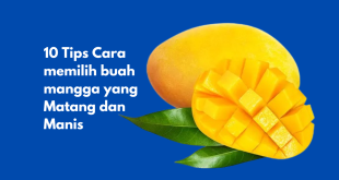 Tips Cara Memilih Buah Mangga yang Matang dan Manis