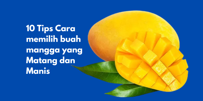 Tips Cara Memilih Buah Mangga yang Matang dan Manis