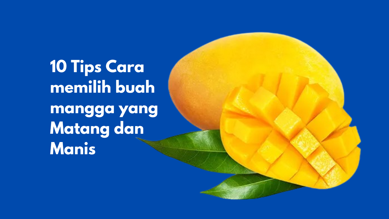 Tips Cara Memilih Buah Mangga yang Matang dan Manis