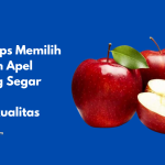 Tips Memilih Buah Apel yang Segar dan Berkualitas