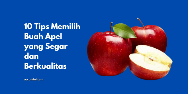 Tips Memilih Buah Apel yang Segar dan Berkualitas