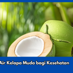 9 Manfaat Air Kelapa Muda bagi Kesehatan