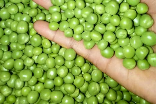 Tips Mengolah Kacang Polong kacang polong