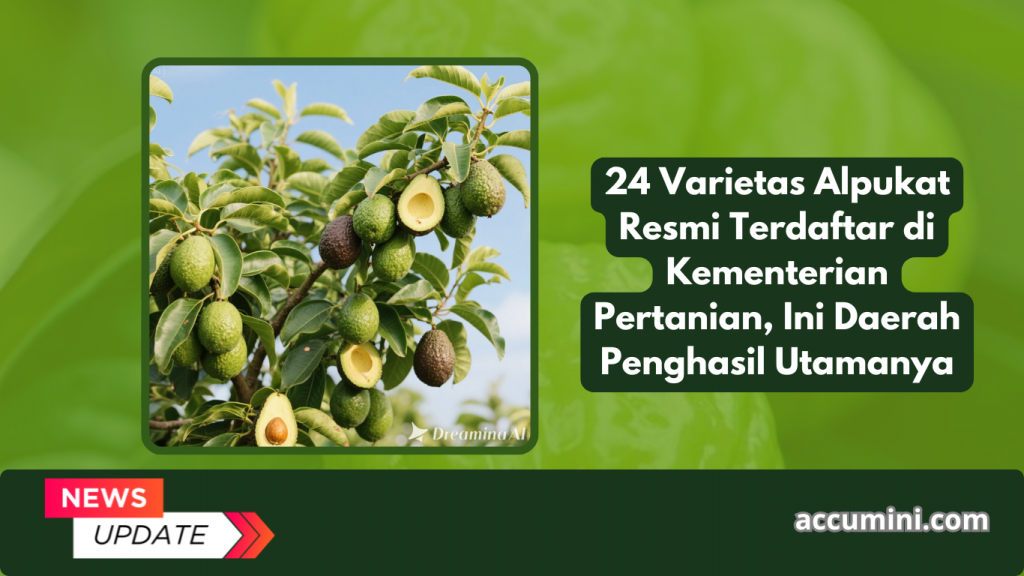 24 Varietas Alpukat Resmi Terdaftar di Kementerian Pertanian, Ini Daerah Penghasil Utamanya