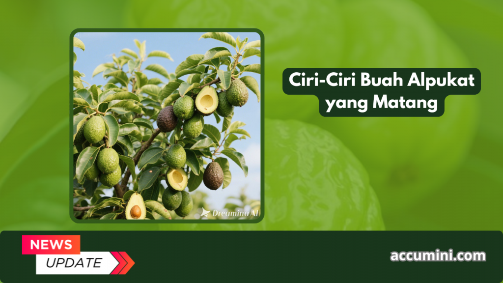 Ciri-Ciri Buah Alpukat yang Matang