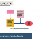 Fungsi Manajemen dalam Agribisnis