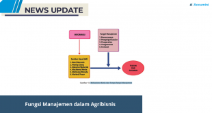 Fungsi Manajemen dalam Agribisnis