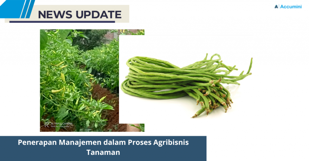Penerapan Manajemen dalam Proses Agribisnis Tanaman