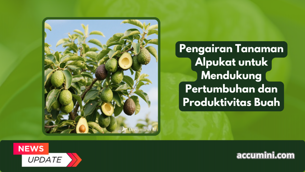 Pengairan Tanaman Alpukat untuk Mendukung Pertumbuhan dan Produktivitas Buah