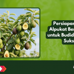 Persiapan Benih Alpukat Berkualitas untuk Budidaya yang Sukses