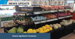 Sistem Agribisnis Tanaman