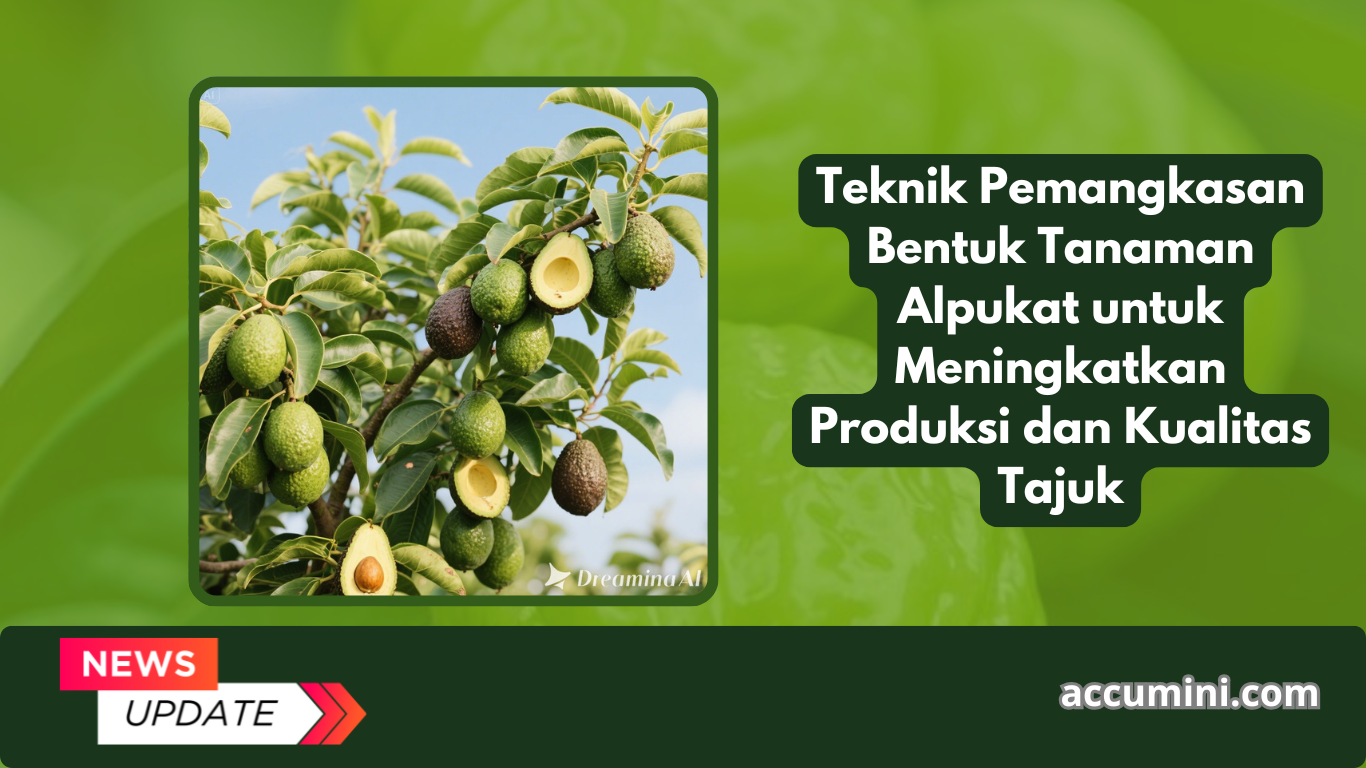 Teknik Pemangkasan Bentuk Tanaman Alpukat untuk Meningkatkan Produksi dan Kualitas Tajuk